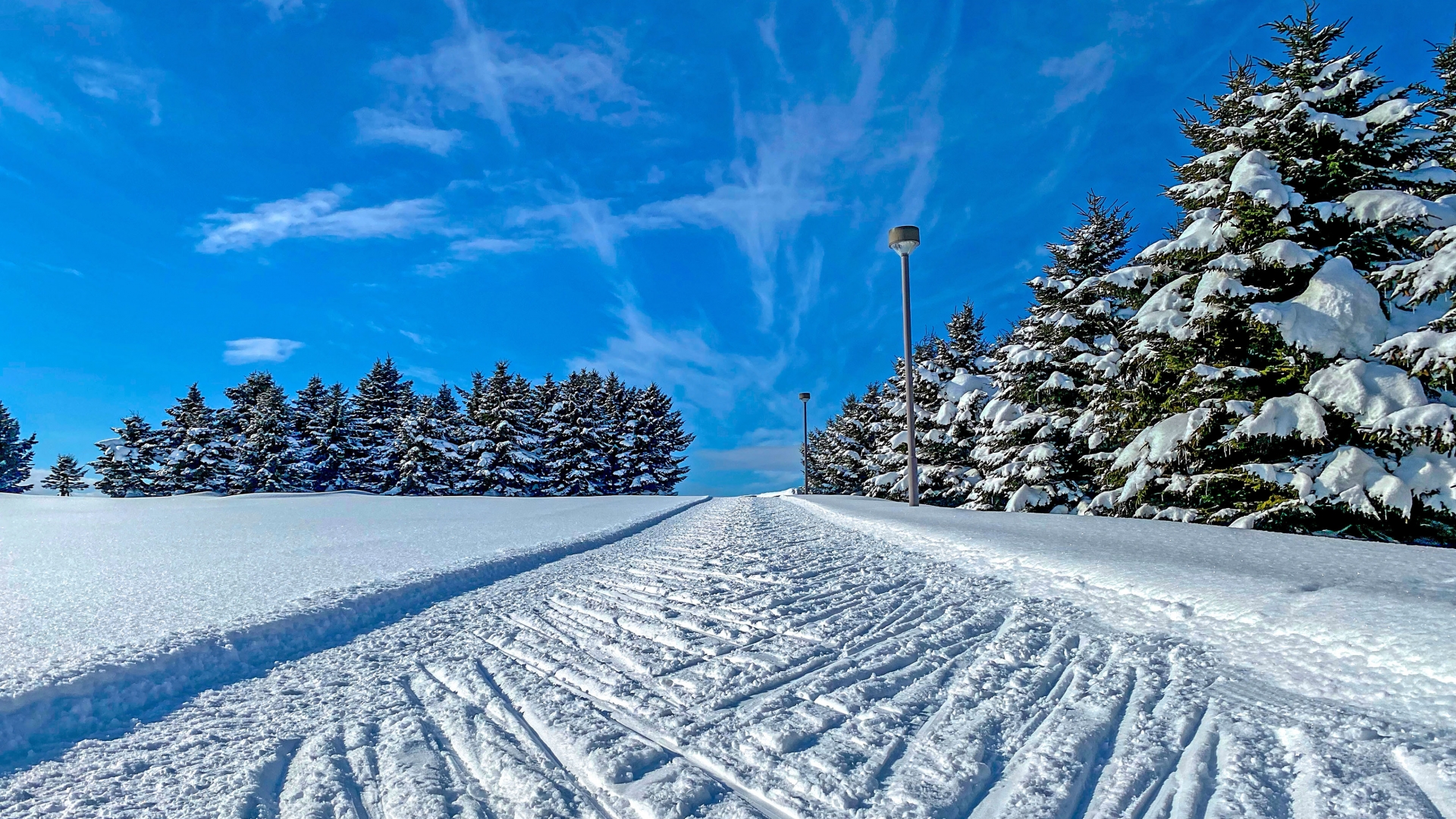 雪道